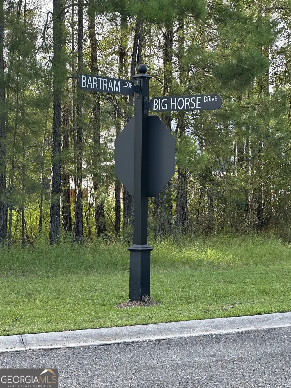 0 Big Horse DR Waynesville, GA 31566