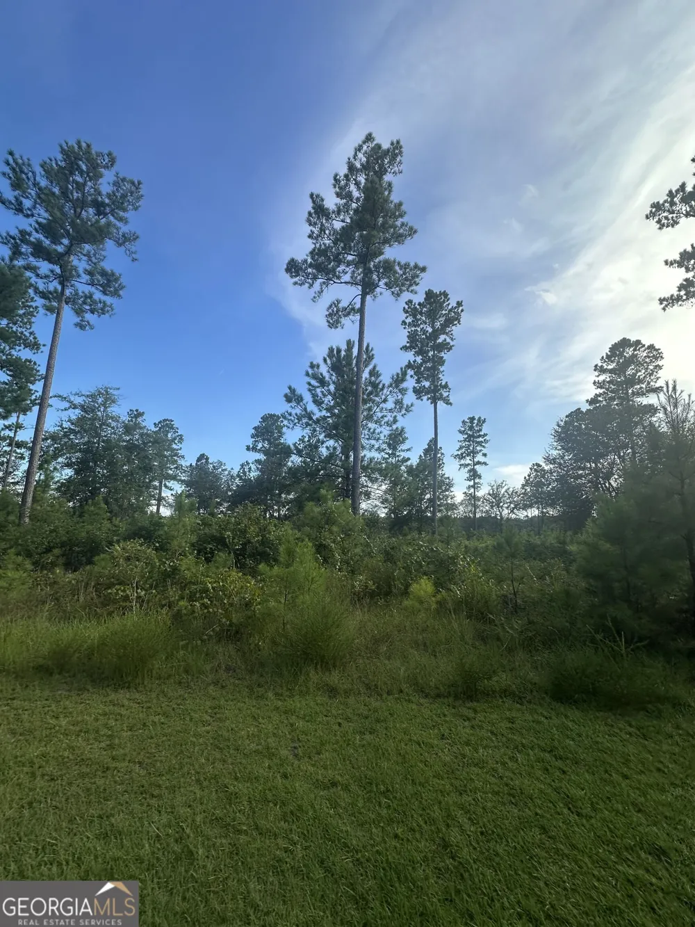 0 Big Horse DR Waynesville, GA 31566