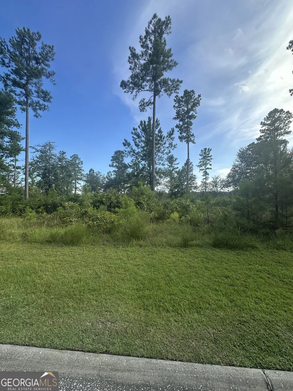 0 Big Horse DR Waynesville, GA 31566