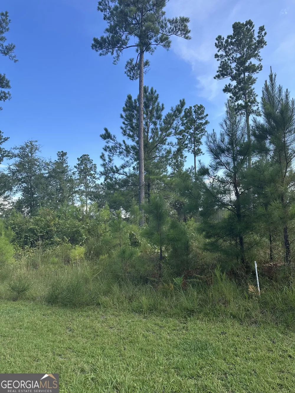 0 Big Horse DR Waynesville, GA 31566