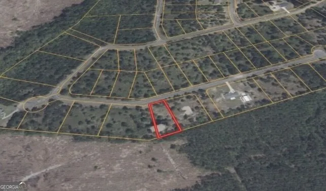 0 Big Horse DR Waynesville, GA 31566