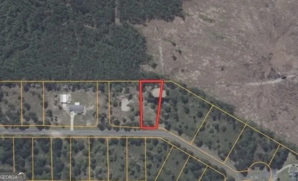 0 Big Horse DR Waynesville, GA 31566
