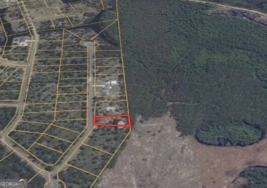 0 Big Horse DR Waynesville, GA 31566
