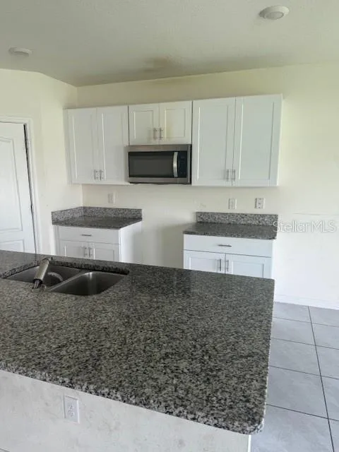 1550 OAK RESERVE DRIVE Kissimmee, FL 34744