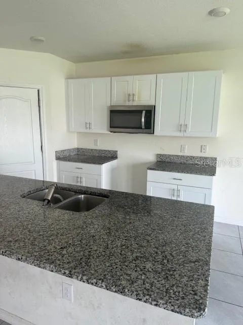 1550 OAK RESERVE DRIVE Kissimmee, FL 34744