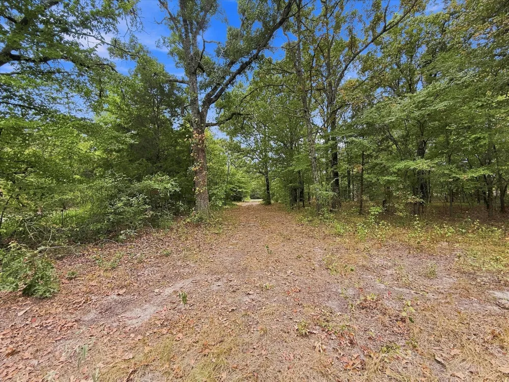 9696 FM 515 Yantis, TX 75410