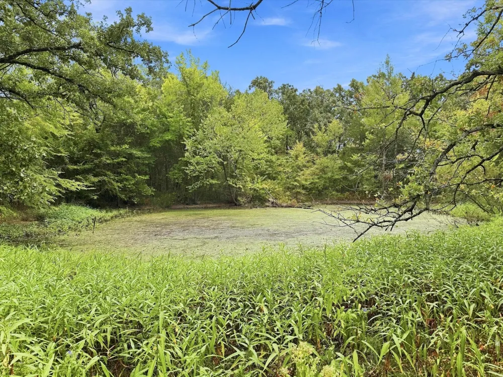 9696 FM 515 Yantis, TX 75410