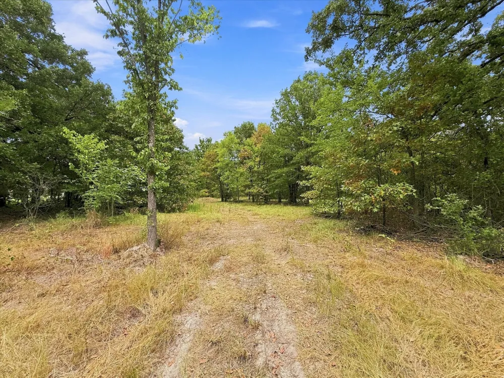 9696 FM 515 Yantis, TX 75410