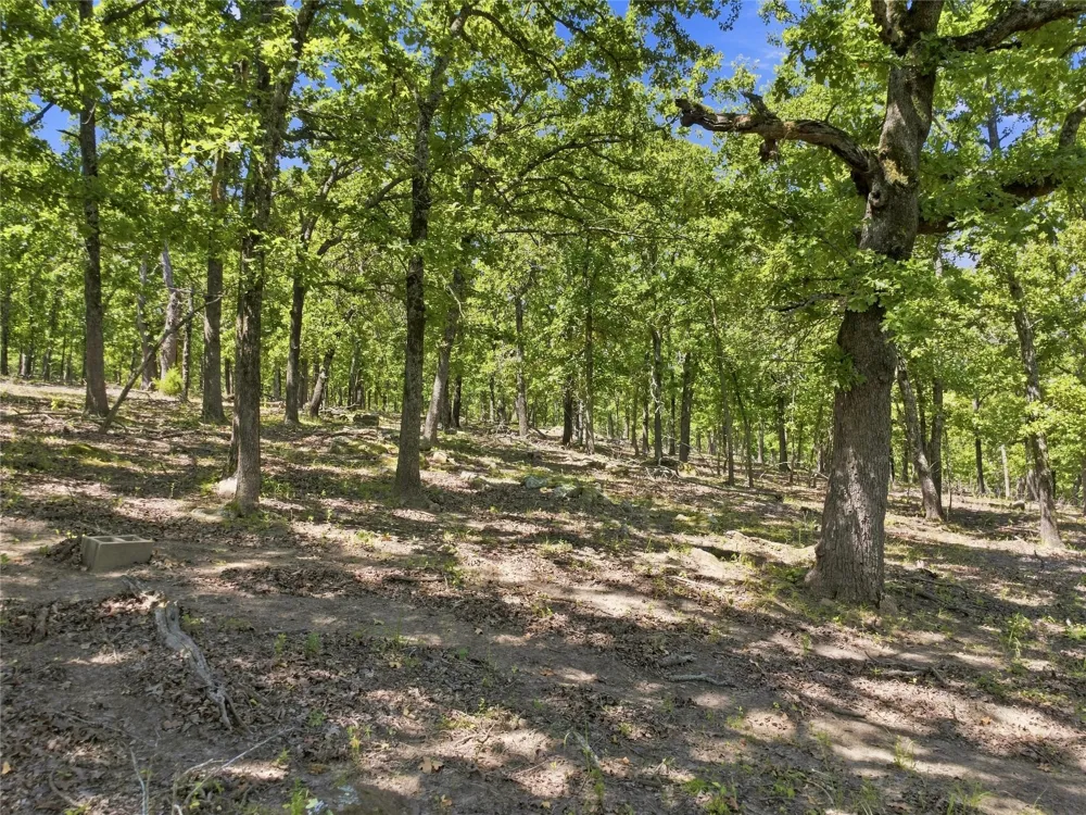19173 Kellyville Ranch Road Kellyville, OK 74039