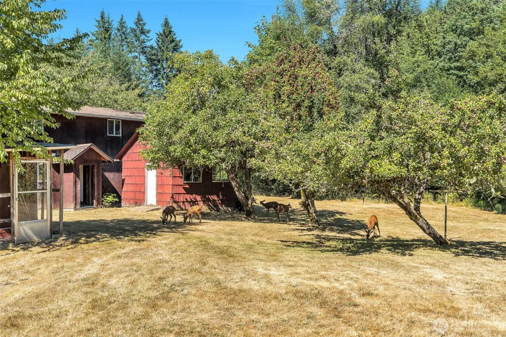 405 ITALIAN CREEK ROAD Kalama, WA 98625