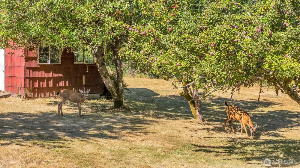 405 ITALIAN CREEK ROAD Kalama, WA 98625