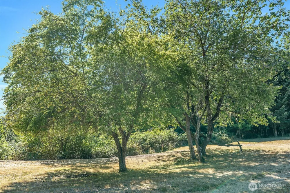 405 ITALIAN CREEK ROAD Kalama, WA 98625