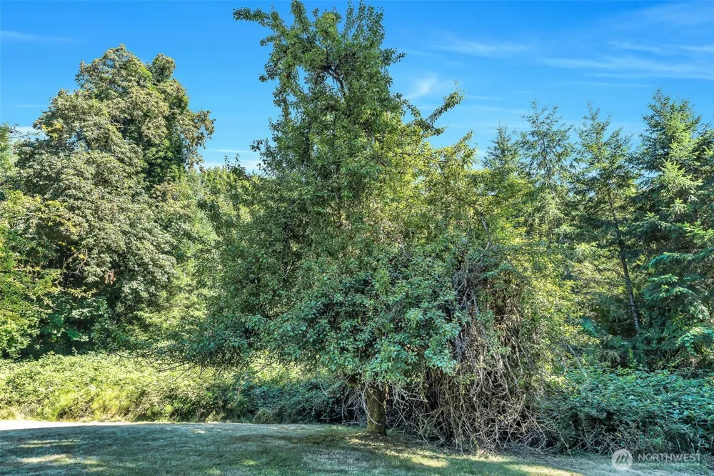 405 ITALIAN CREEK ROAD Kalama, WA 98625
