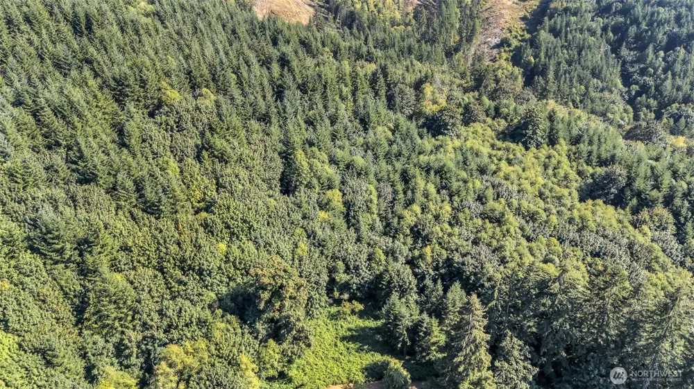 405 ITALIAN CREEK ROAD Kalama, WA 98625