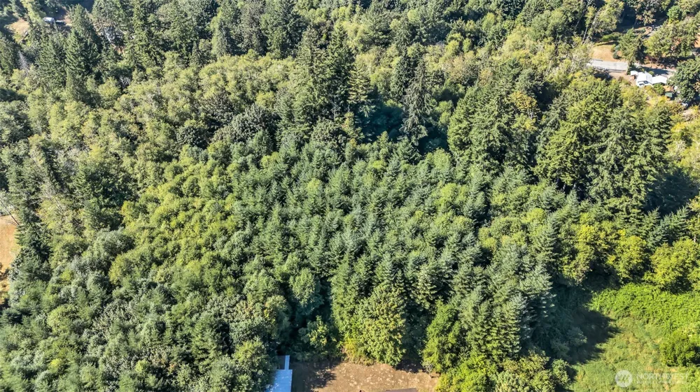 405 ITALIAN CREEK ROAD Kalama, WA 98625