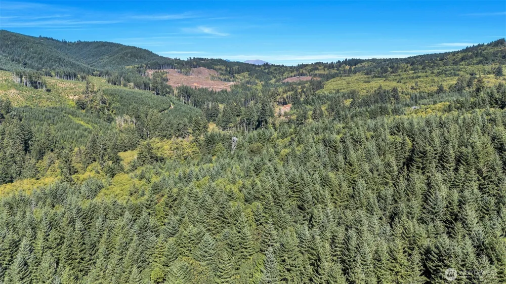405 ITALIAN CREEK ROAD Kalama, WA 98625