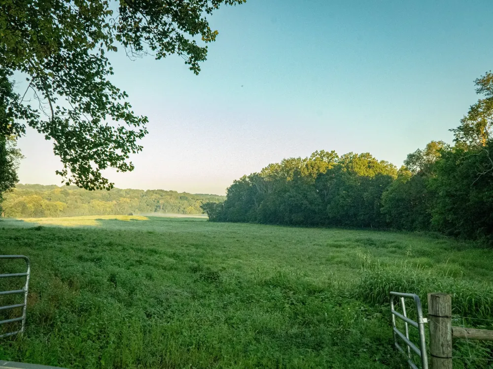 1074 Pair Six Dr Springfield, TN 37172