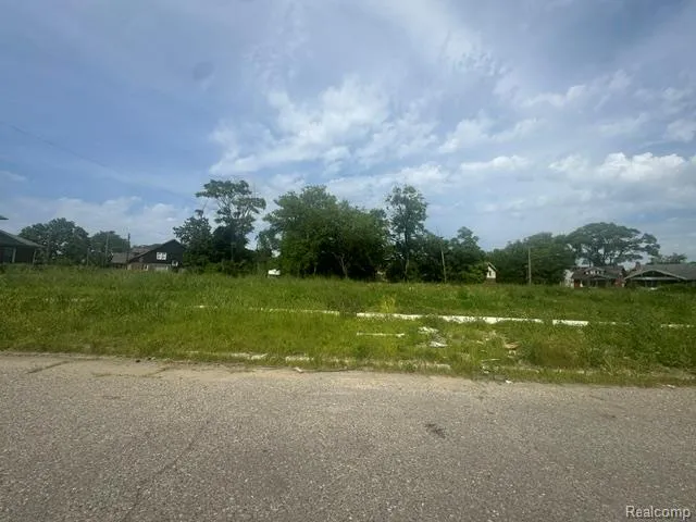 8924 Dailey Court Detroit City, MI 48204