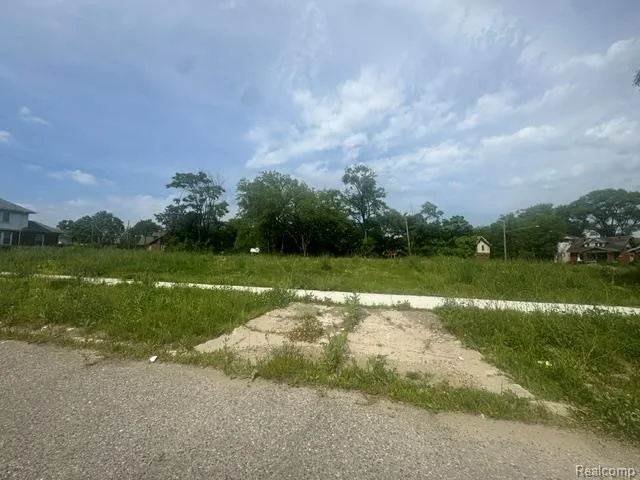 8924 Dailey Court Detroit City, MI 48204