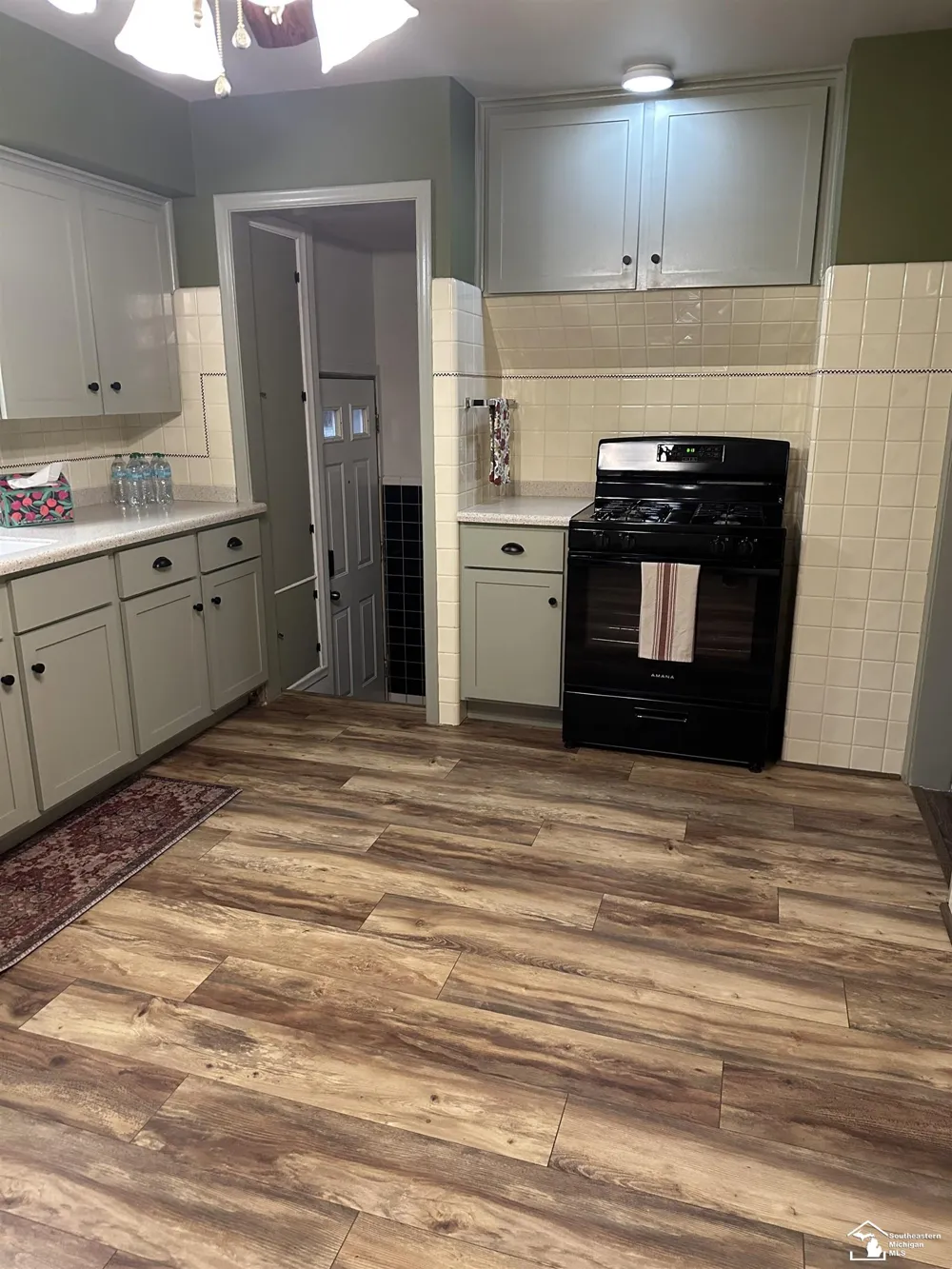 2198 Moran Avenue Lincoln Park City, MI 48146