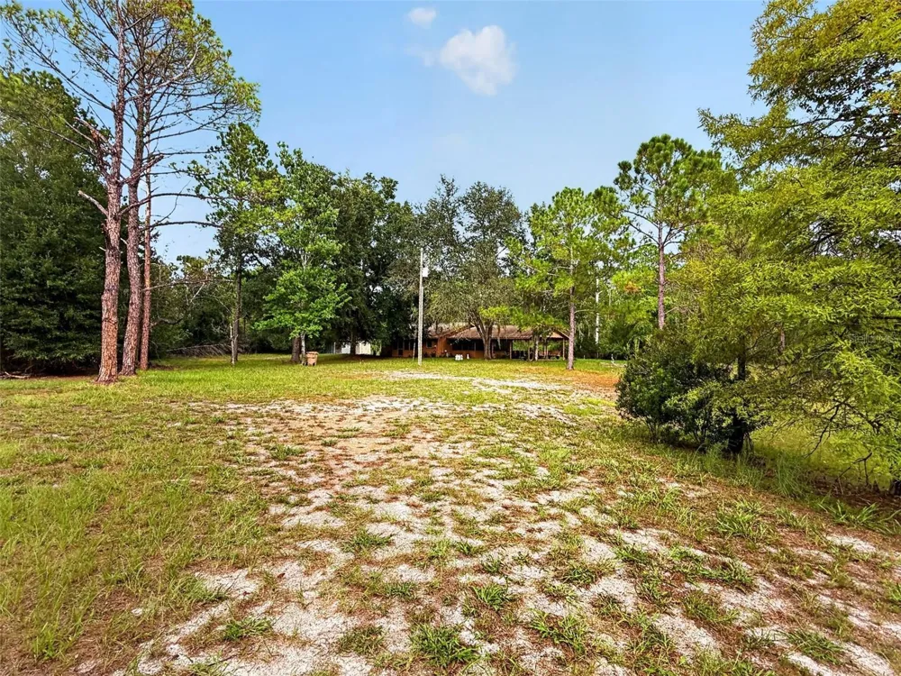 24939 OLD DEER ROAD Paisley, FL 32767