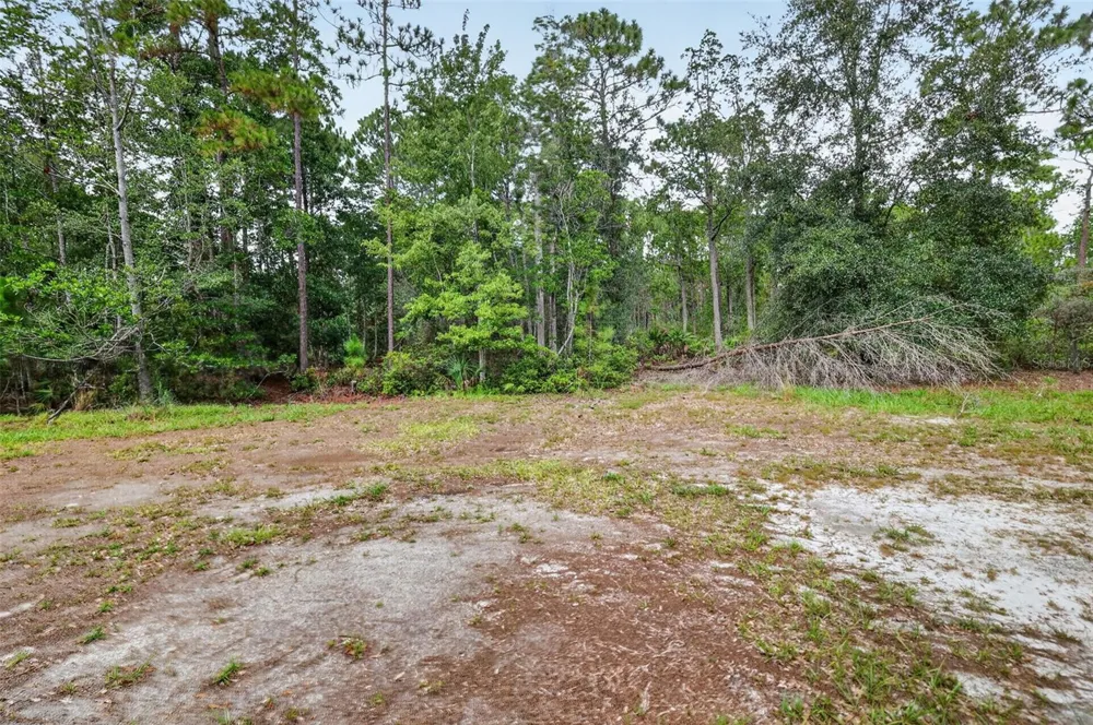 24939 OLD DEER ROAD Paisley, FL 32767