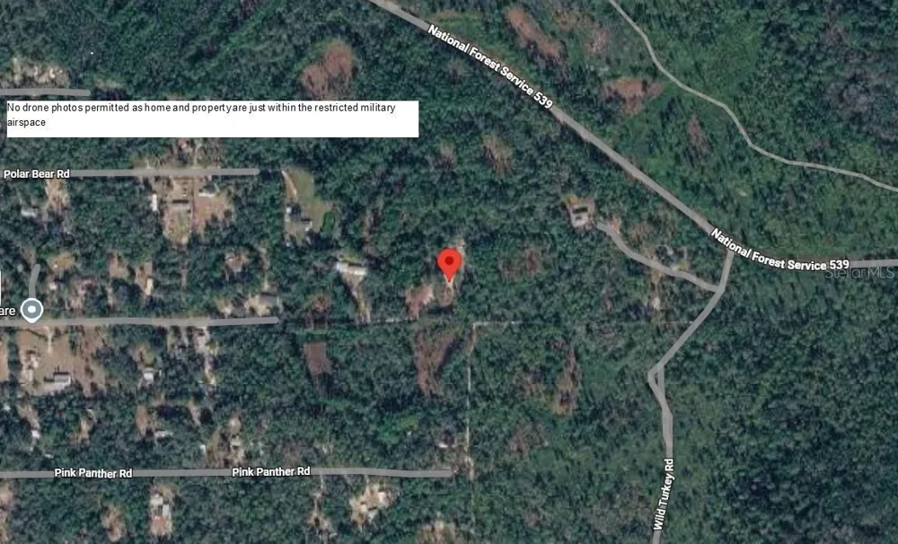 24939 OLD DEER ROAD Paisley, FL 32767
