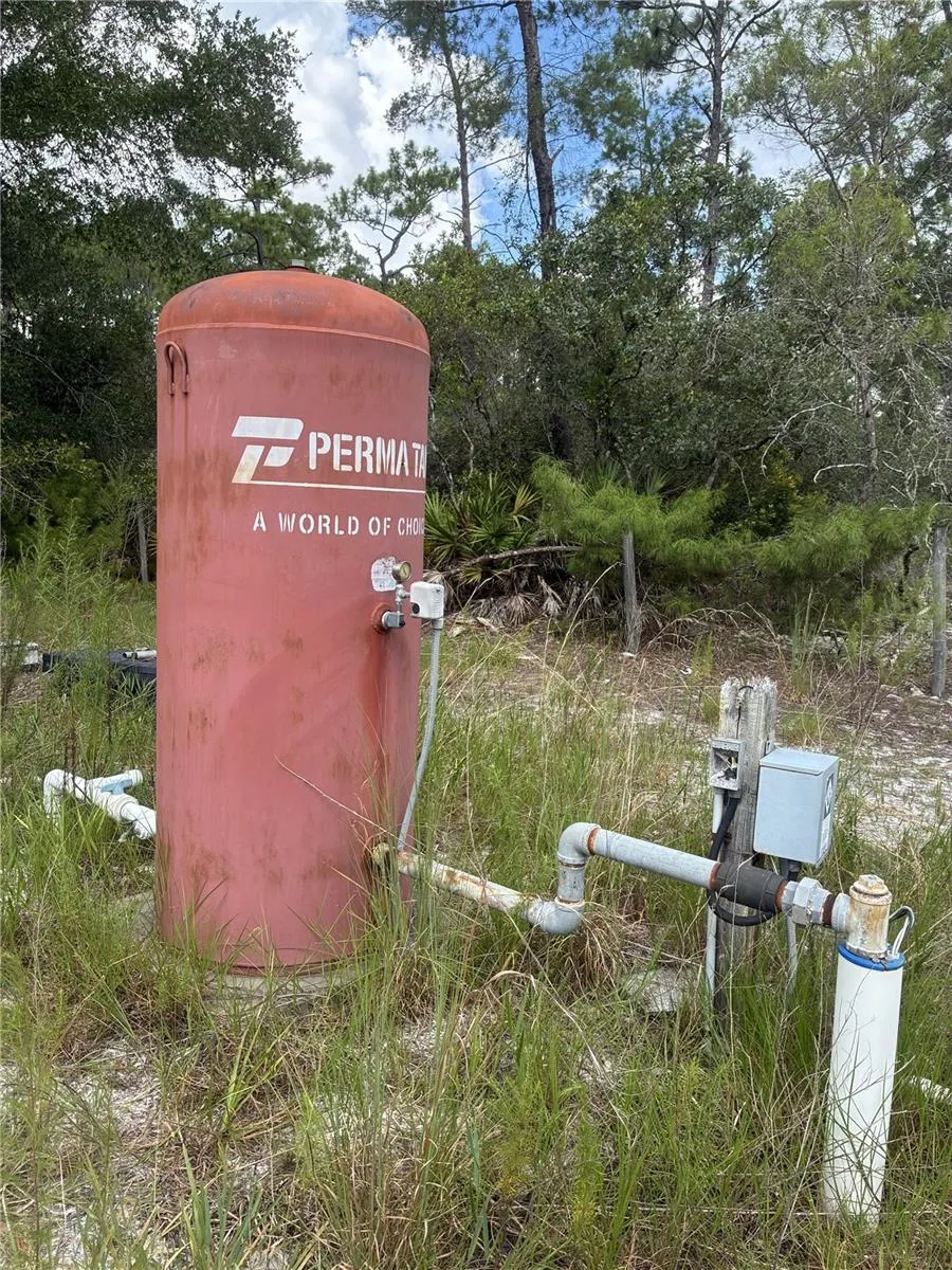 24939 OLD DEER ROAD Paisley, FL 32767