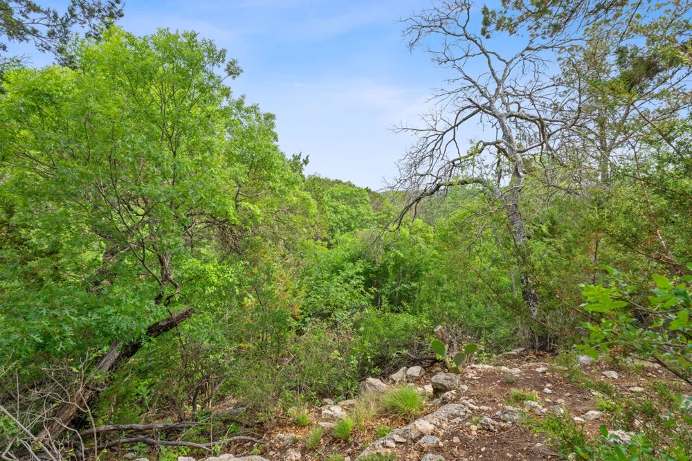 7201 Getaway Drive Jonestown, TX 78645