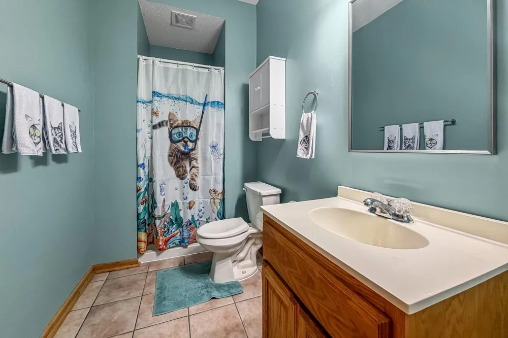 14927 Harpers Street NE Ham Lake, MN 55304