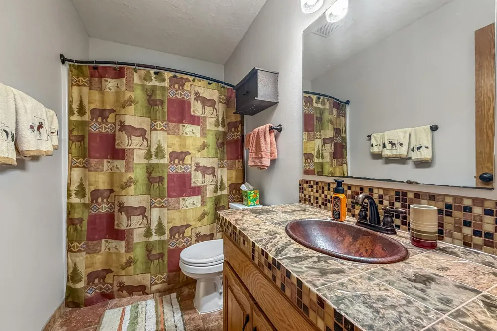14927 Harpers Street NE Ham Lake, MN 55304