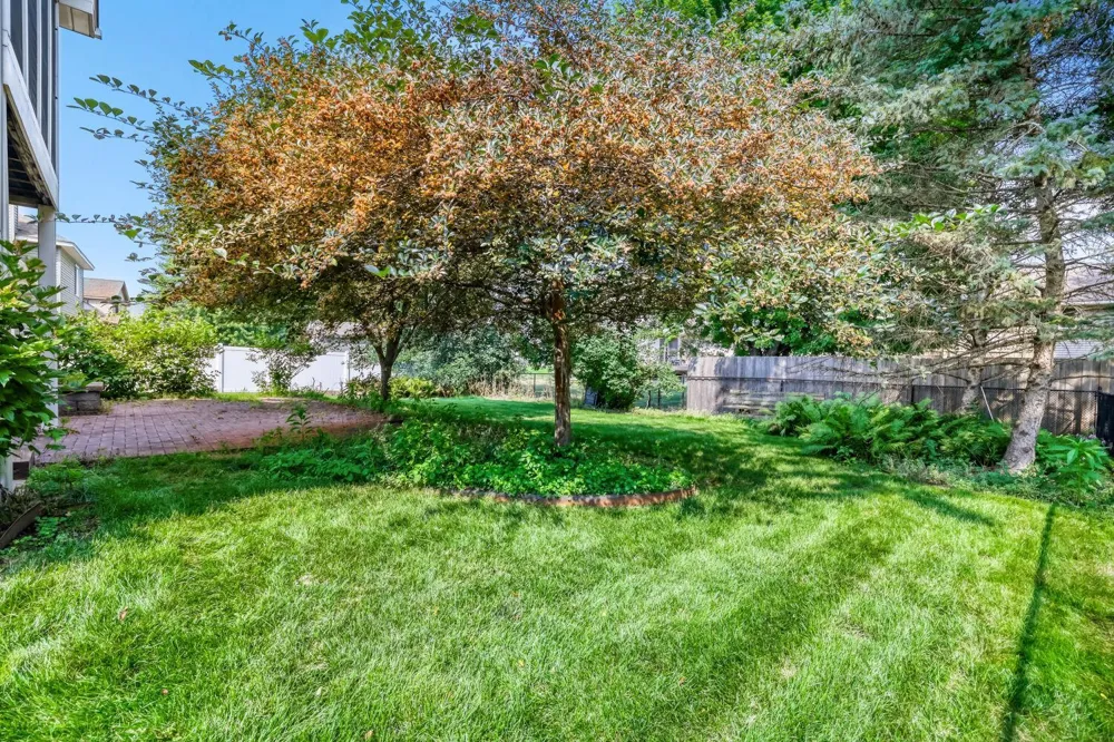 1119 Bonnieview Drive Woodbury, MN 55129
