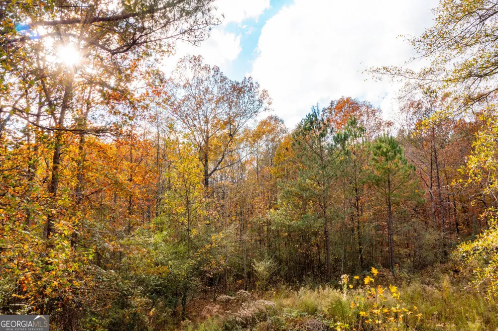 301 River Place DR NW Calhoun, GA 30701