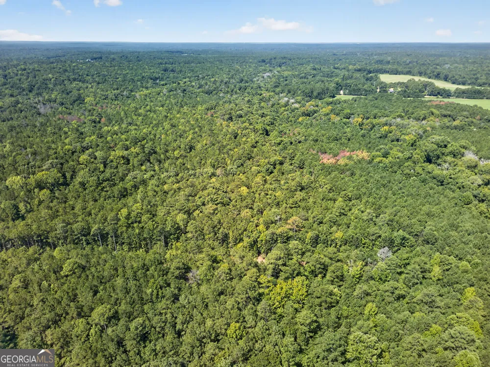 484 Stonegables CT Gray, GA 31032