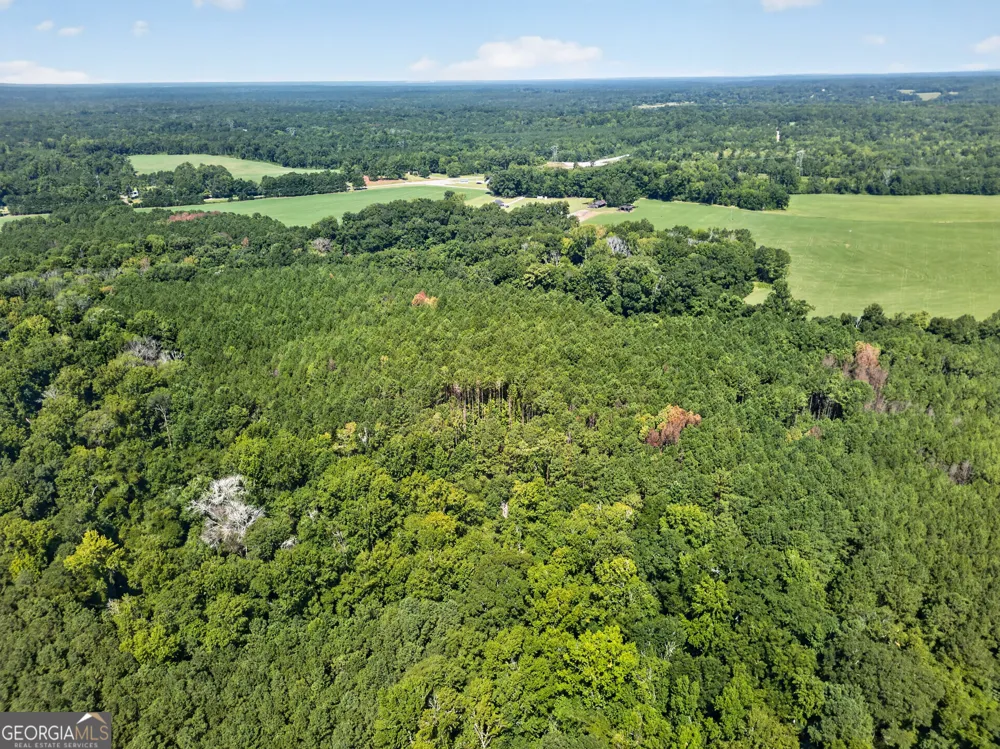 484 Stonegables CT Gray, GA 31032