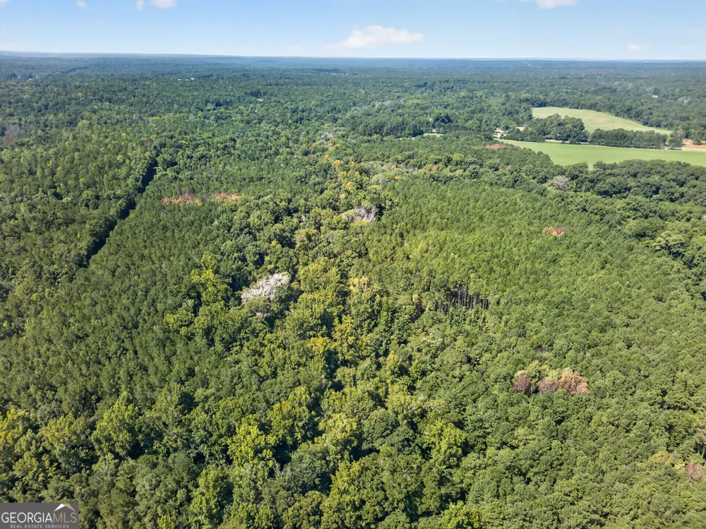 484 Stonegables CT Gray, GA 31032