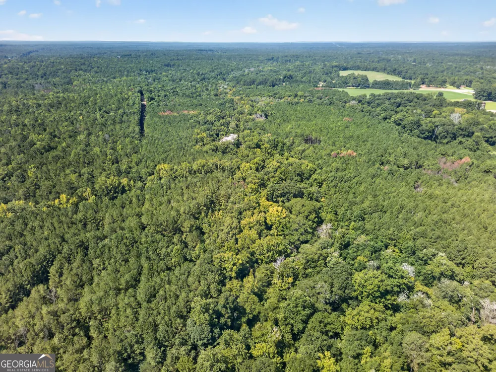484 Stonegables CT Gray, GA 31032