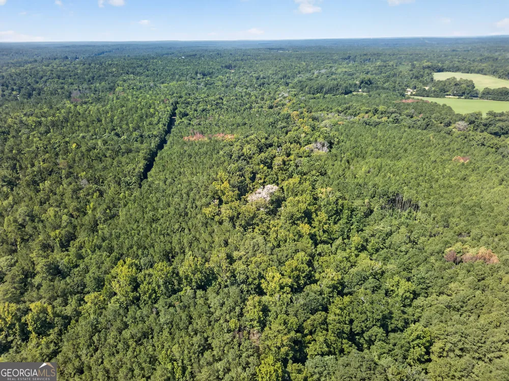 484 Stonegables CT Gray, GA 31032