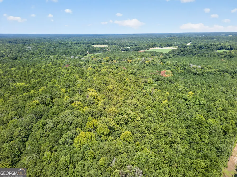 484 Stonegables CT Gray, GA 31032