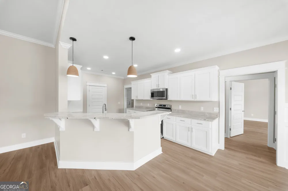 3227 Jason Franklin RD Register, GA 30452