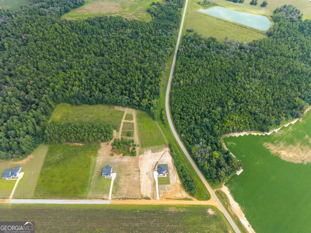 3227 Jason Franklin RD Register, GA 30452