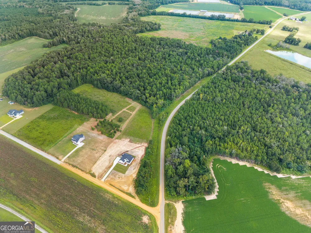 3227 Jason Franklin RD Register, GA 30452