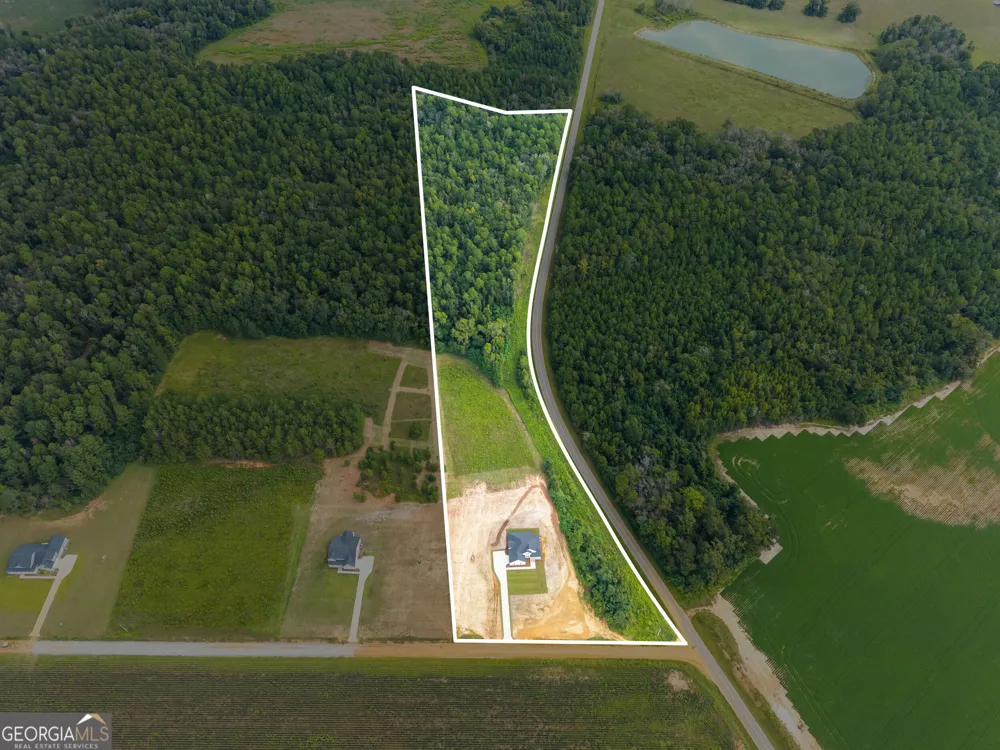 3227 Jason Franklin RD Register, GA 30452