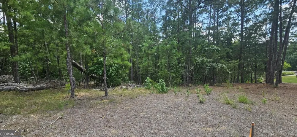 LOT 2 Amelia DR Mccormick, SC 29835