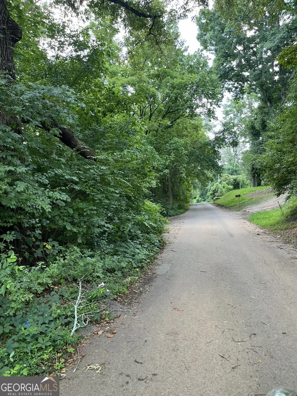 238 Canton ST Canton, GA 30114