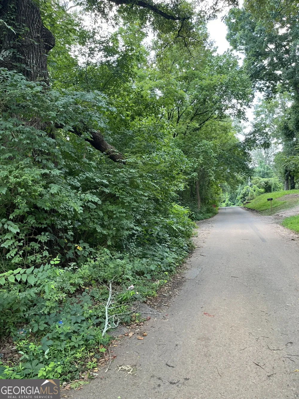 238 Canton ST Canton, GA 30114