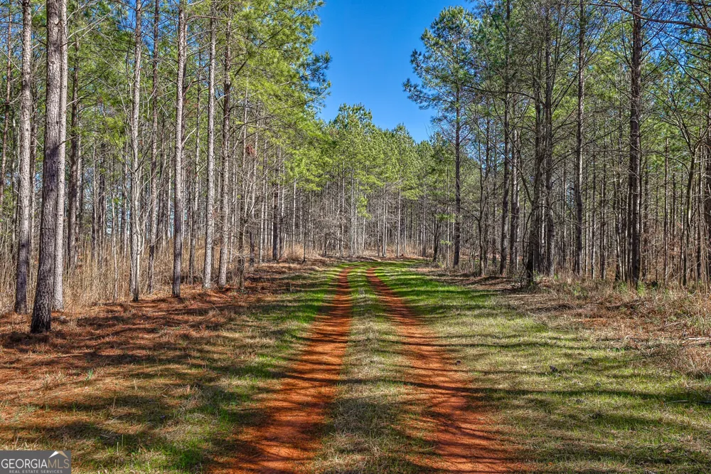 T1-2 Old Zebulon RD Forsyth, GA 31029