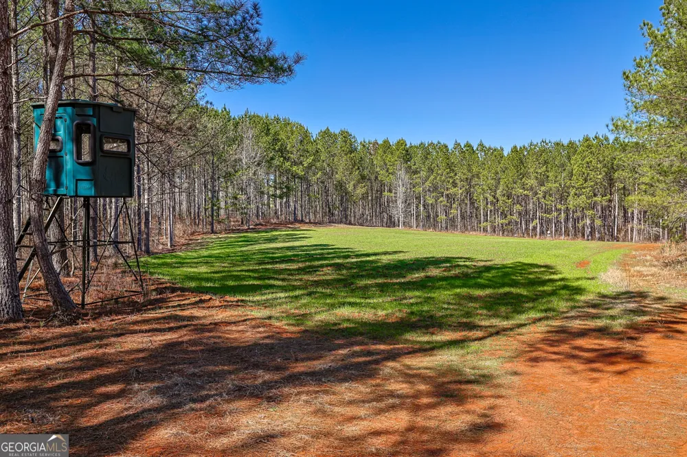 T1-2 Old Zebulon RD Forsyth, GA 31029