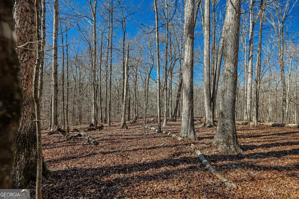 T1-2 Old Zebulon RD Forsyth, GA 31029