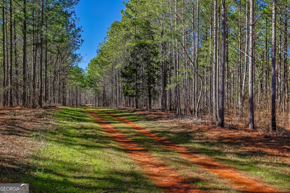 T1-2 Old Zebulon RD Forsyth, GA 31029